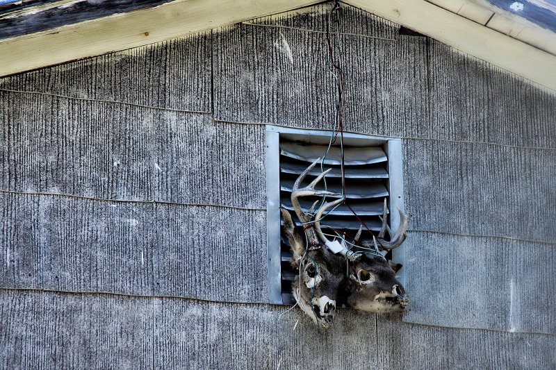 HANGING FROM THE RAFTERS