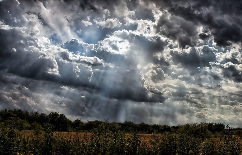 RAYS