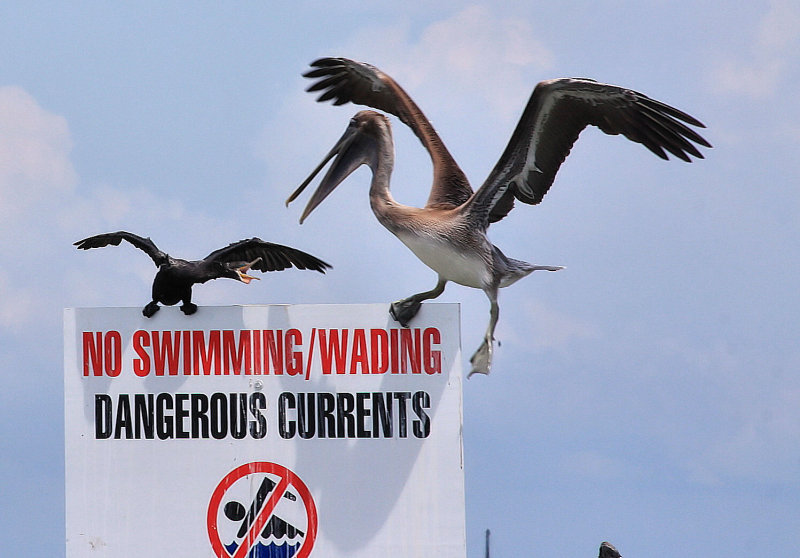 HEY, YOU, GET OFF OF MY SIGN!