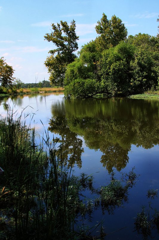 FORT WORTH NATURE PRESERVE