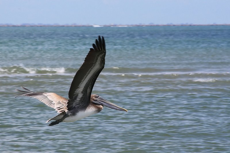 FLY BY