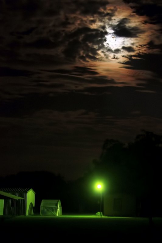 NIGHT IN THE COUNTRY