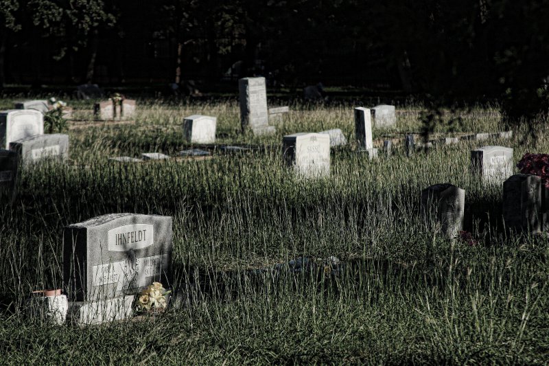 A NATURAL PART OF LIFE IS DEATH