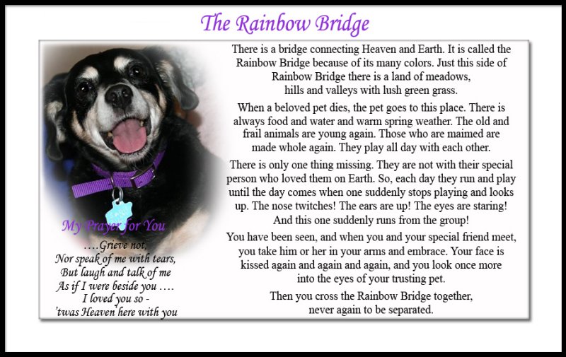 SADIE AND THE RAINBOW BRIDGE