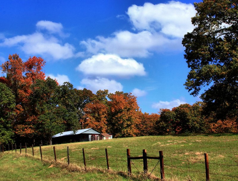 AUTUMN IN THE COUNTRY