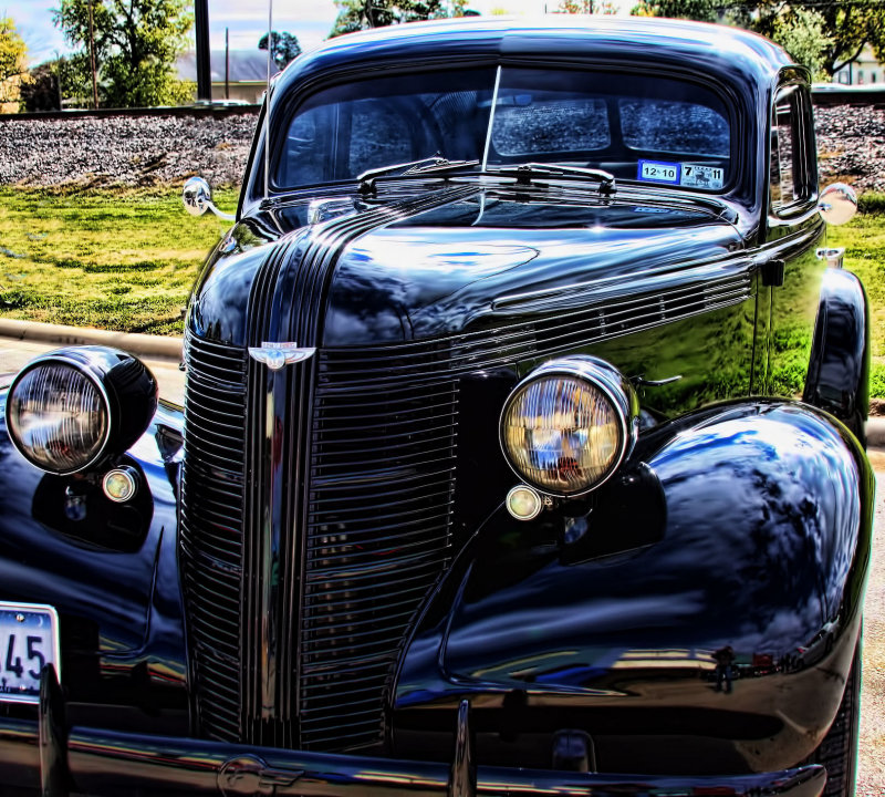 BLACK BEAUTY