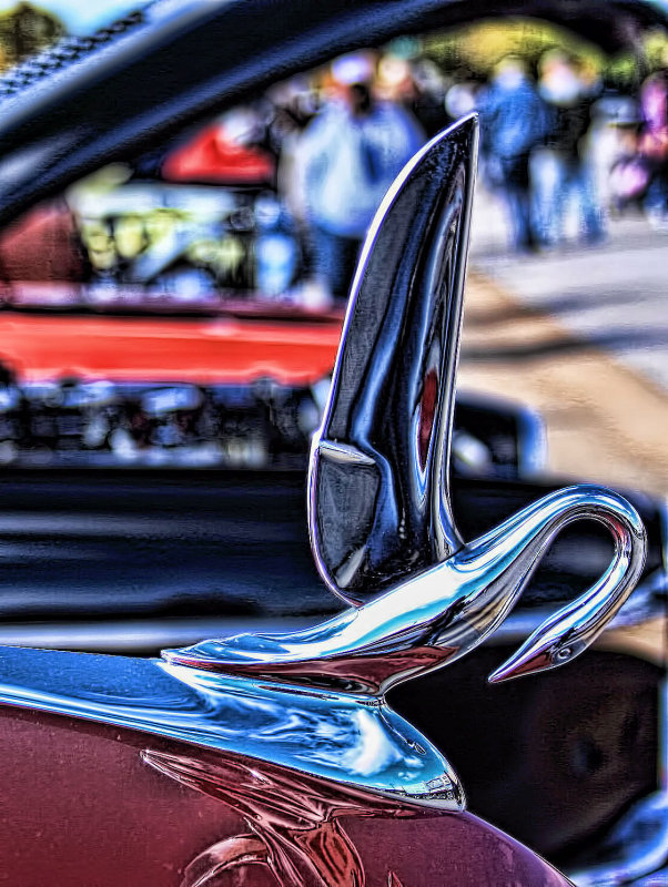 WINGS