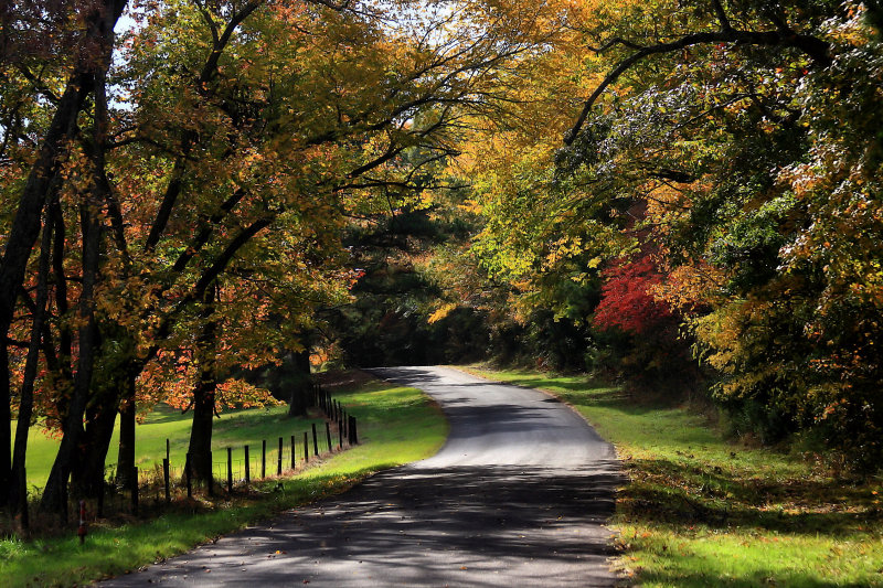 COUNTRY ROAD