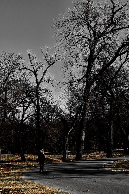 WALKING ALONE