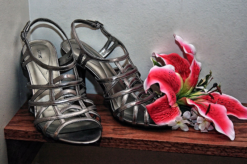 WEDDING SHOES
