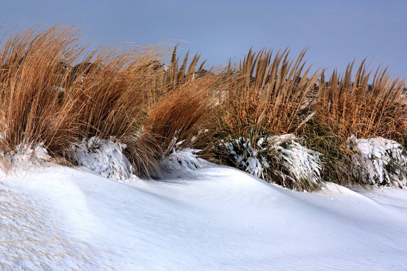 GRASS DRIFTS
