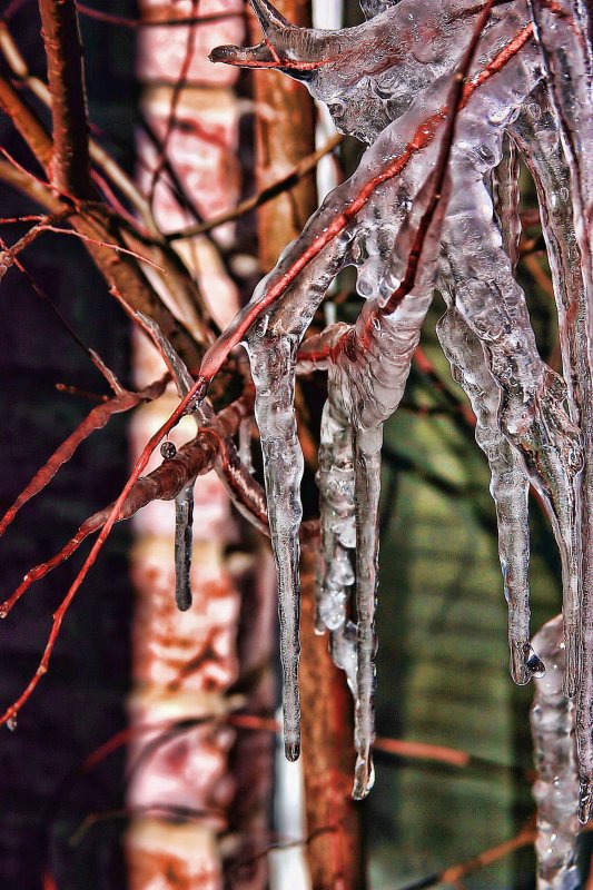 COLORED LIQUID - FROZEN
