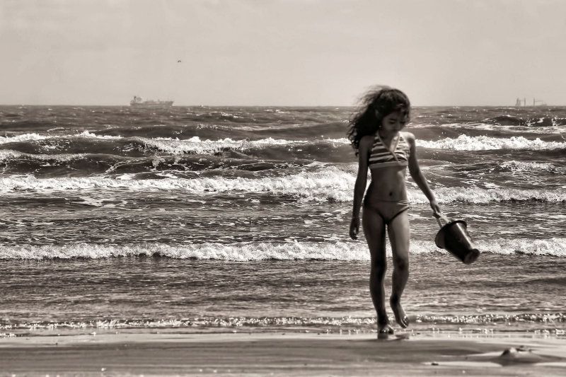 LOOKING FOR SHELLS