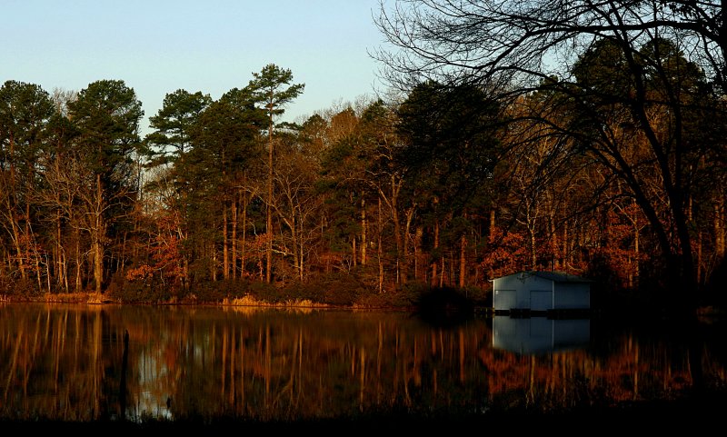 MORNING REFLECTIONS
