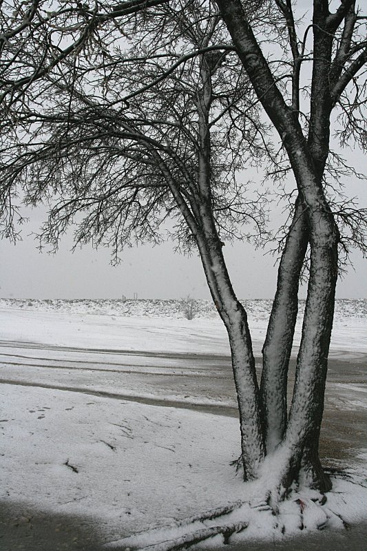 SOME SNOW AT THE LAKE BEACH