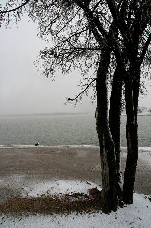 A VIEW TOWARDS THE LAKE