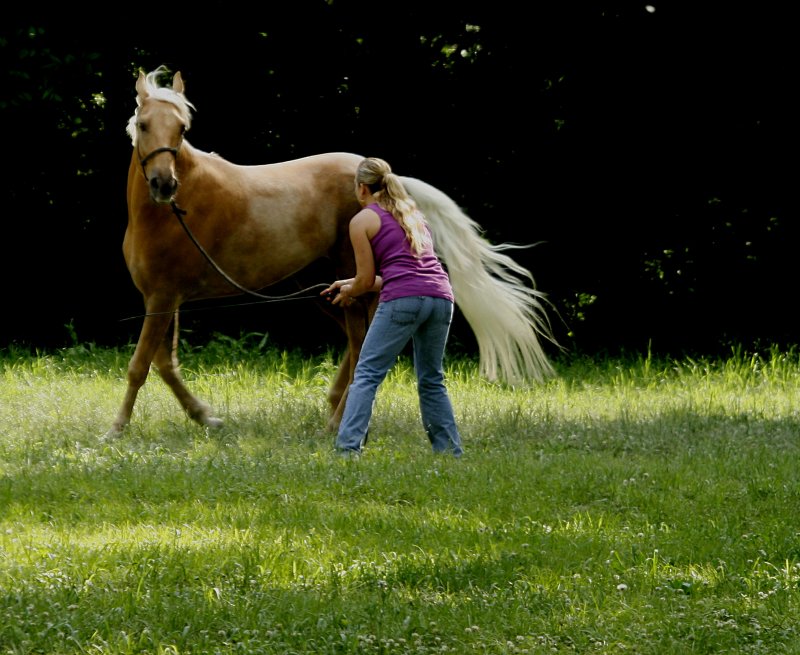 TRAINING ABBEY