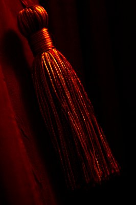 FOR THE SCAVENGER HUNT - TASSEL FROM MY BEDROOM