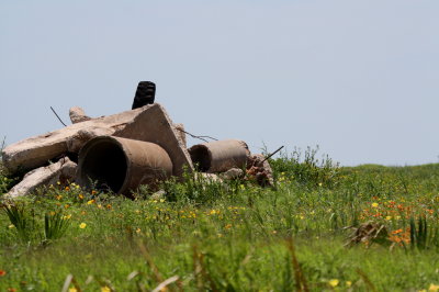 DEBRIS FROM PAST STORMS