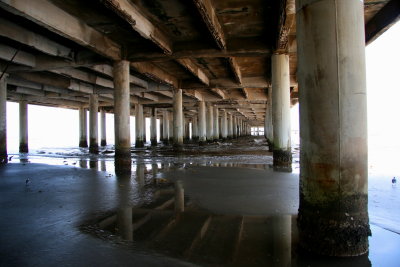 LOOKING UNDER THE PIER