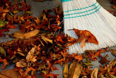 DON'T SWEEP THE LEAVES