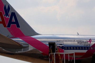 AMERICAN AIRLINES JET LINER - BREAST CANCER SPONSOR