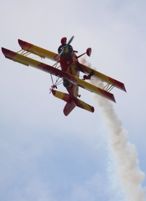 ON THE WING UPSIDE DOWN