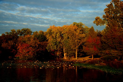 AUTUMN IN THE PARK