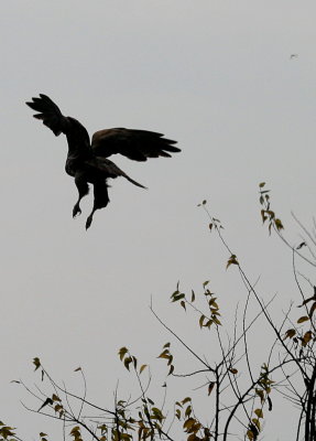 TAKE OFF