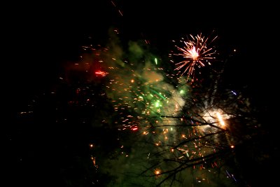 FIREWORKS THRU THE TREES