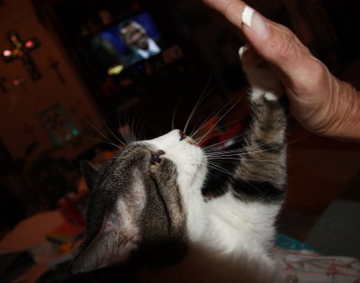 HIGH FIVE, MOM!