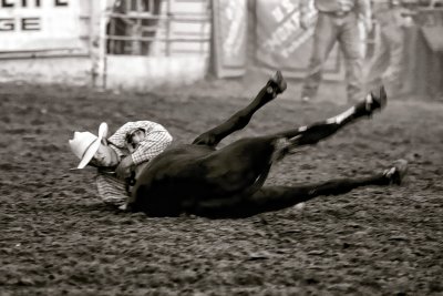 CALF WRESTLING