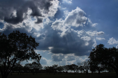 LANDSCAPE SILHOUETTE AND CLOUDS
