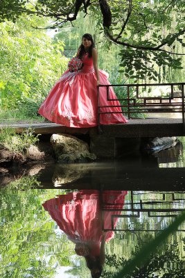 REFLECTION OF CINDERELLA