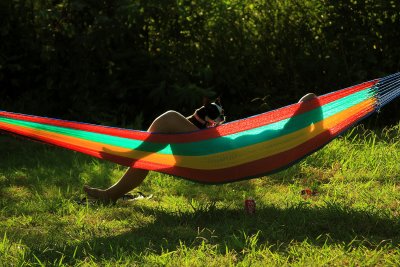 HAMMOCK
