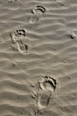MY FOOTPRINTS IN THE SAND