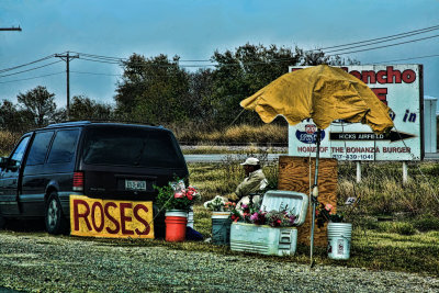 ROSES FOR SALE