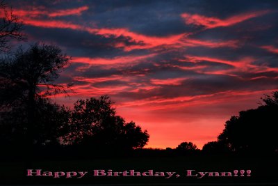 HAPPY BIRTHDAY, LYNN!