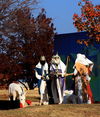 LIFE SIZED NATIVITY SCENE - DAY 17