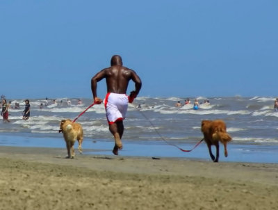 RUNNING WITH THE DOGS