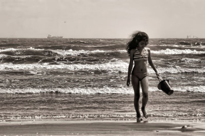 LOOKING FOR SHELLS