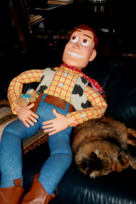 BIG WOODY STARTS SCHMOOZING THE CAT!!