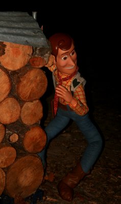 BIG WOODY HIDES BEHIND THE WOOD PILE