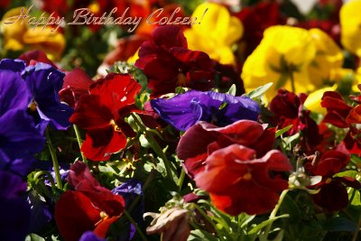 BEAUTIFUL FLOWERS FOR A BEAUTIFUL LADY!