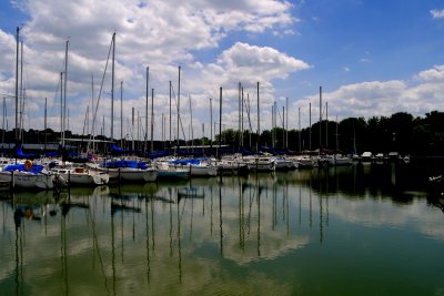 THE MARINA