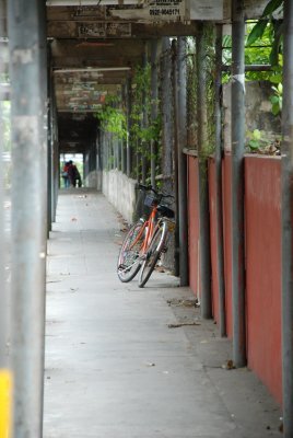 DSC_5683.jpg
