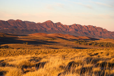 Flinder's Ranges