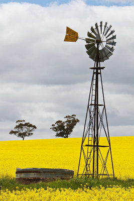 Country  Windmill