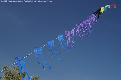 Kite festival