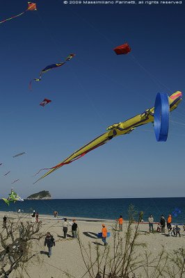 Kite festival